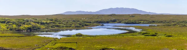 Boerderij Met Moeras Bergen Vegetatie Clifden Ierland — Stockfoto