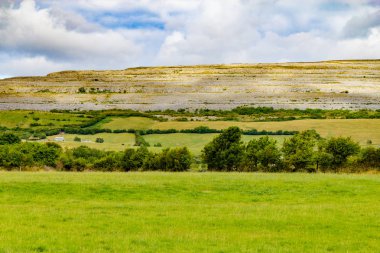 Çiftlik alan dağ ve bitki örtüsü Ballyvaughan, İrlanda