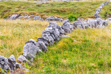Taş duvar ve çiftlik alanı Ballyvaughan, İrlanda