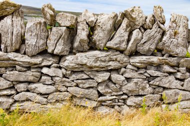 Taş duvar ve bitki örtüsü Ballyvaughan, İrlanda