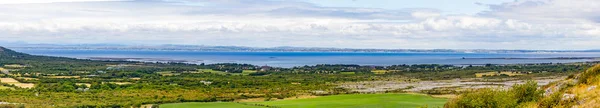 Galway Bay Gazdaság Területén Hegyi Növényzet Ballyvaughan Írország — Stock Fotó