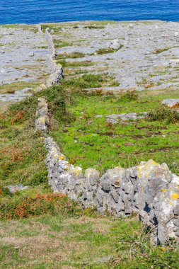 Burren dağ taş duvarlar, Fanore, Clare, İrlanda ile Fanore beach
