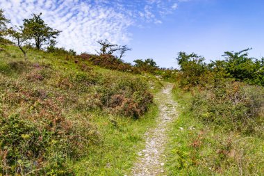 Burren şekilde bitki örtüsü trail, Ballyvaughan, Clare, İrlanda