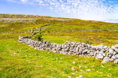 Burren, Ballyvaughan, Clare, İrlanda yol iz içinde tarım alanları taşlı duvar