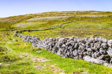 Burren, Ballyvaughan, Clare, İrlanda yol iz içinde tarım alanları taşlı duvar