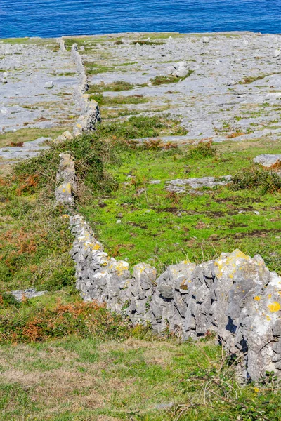 Fanore Пляжі Буррен Гори Кам Яними Стінами Fanore Клер Сполучені — стокове фото