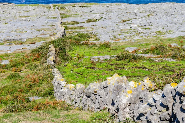 Fanore Pláž Burren Hory Kamennými Zdmi Fanore Clare Irsko — Stock fotografie