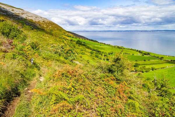 Camino Burren Con Bahía Galway Fondo Fanore Clare Irlanda —  Fotos de Stock