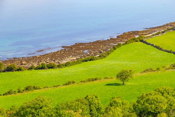 Gospodarstwa Pola Plaży Ballyvaughan Clare Irlandia — Zdjęcie stockowe