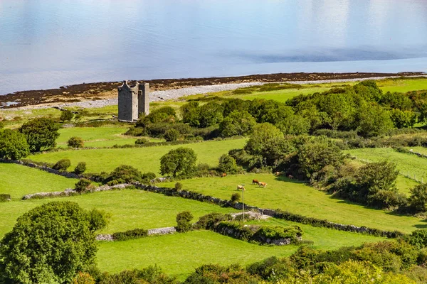 Old Rock Tower Farm Beach Ballyvaughan Clare Irlanda — Fotografia de Stock