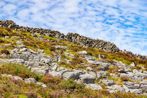 Parede Pedra Monaghan Irlanda — Fotografia de Stock