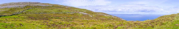 Panorama Dei Campi Agricoli Con Muro Pietra Nel Sentiero Burren — Foto Stock