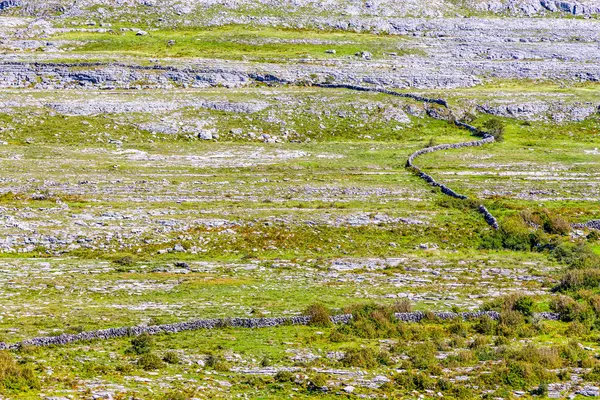 Stenar Och Stenmur Över Berg Burren Sätt Trail Ballyvaughan Clare — Stockfoto