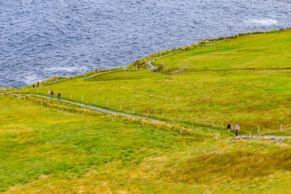 Cliffs Moher Trail Med Gård Fält Och Ocean Doolin Clare — Stockfoto