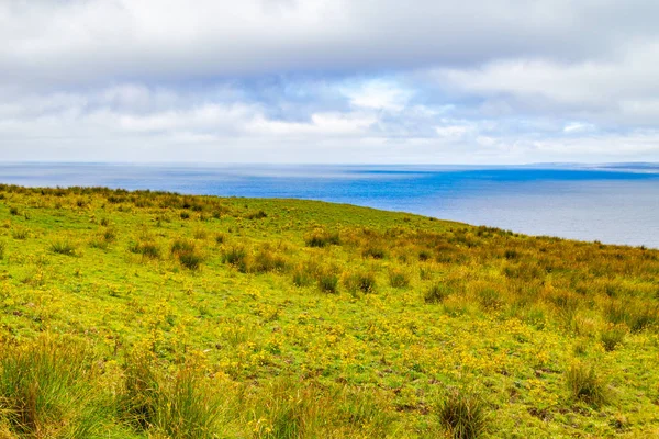 Moherské Útesy Trail Mezőgazdasági Területek Óceán Doolin Clare Írország — Stock Fotó