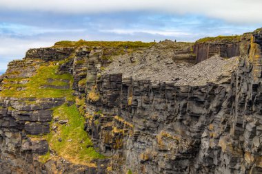 Kayalar ve bitki örtüsü Moher Cliffs, Doolin, Clare, İrlanda