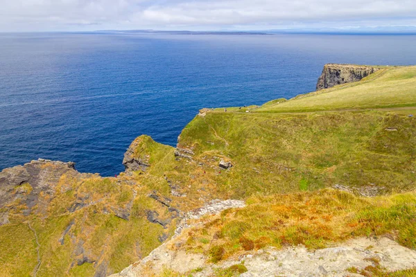 Vegetatie Rotsen Cliffs Moher Doolin Clare Ierland — Stockfoto