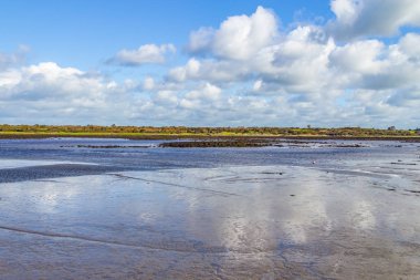 Kinvarra bay bitki örtüsü ve bulut yansıması, İrlanda ile