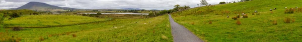 Panorama Com Rebanho Ovelhas Uma Fazenda Lago Montanhas Fundo Great — Fotografia de Stock