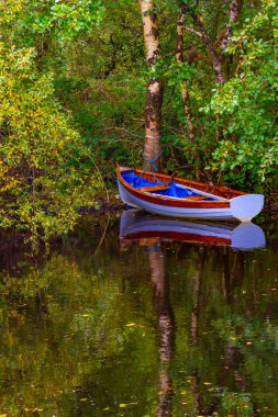 Tekne ve ağaçların yansıması Owenriff nehir, Oughterard, İrlanda ile