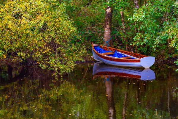 Boot Und Bäume Mit Reflexion Owenriff River Oughterard Irland — Stockfoto