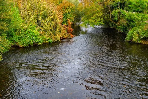 Trees Reflection Owenriff River Oughterard Ireland — Stock Photo, Image