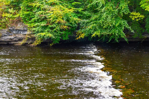 Bomen Reflectie Owenriff Rivier Oughterard Ierland — Stockfoto