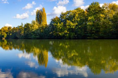 Fransa 'nın Auvers-sur-Oise köyündeki Oise Nehri' ndeki orman.