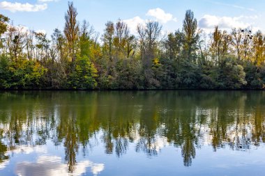 Ağaç Oise River köyde Auvers-sur-Oise, Fransa