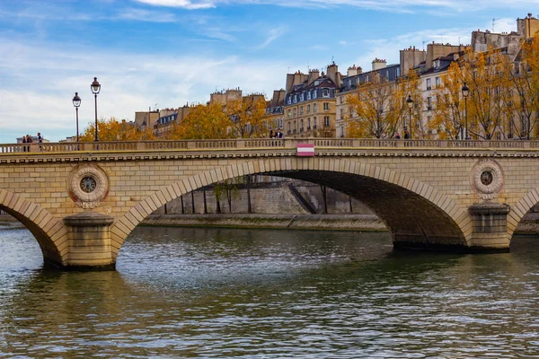 Bridge and buildings over Sena river, Paris, France