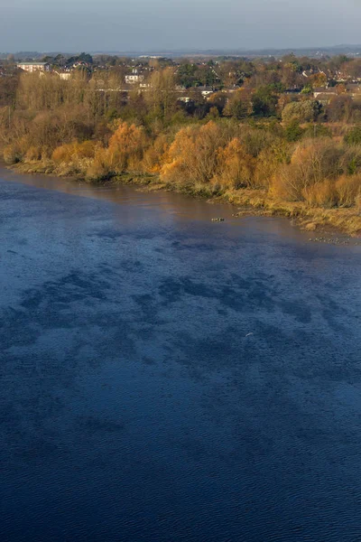 Vegetazione Autunnale Nel Fiume Shannon Limerick Irlanda — Foto Stock