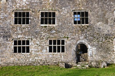 Ayrıntılar Leamaneh kalesi kalıntıları, Kilnaboy, Burren, Clare, İrlanda
