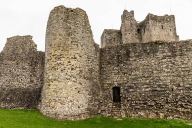 Trim kalesinin Meath, İrlanda