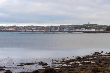 Strangford lough ve Portaferry Köyü, Kuzey İrlanda, İngiltere