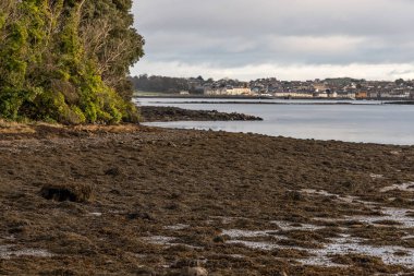 Strangford lough Portaferry köy içinde geçmiş, Kuzey İrlanda, İngiltere ile