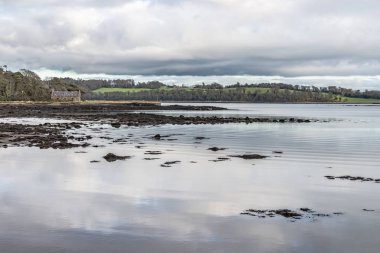 Pier house, orman, ağaçlar yansıma ve gölde Strangford lough, Kuzey İrlanda, İngiltere