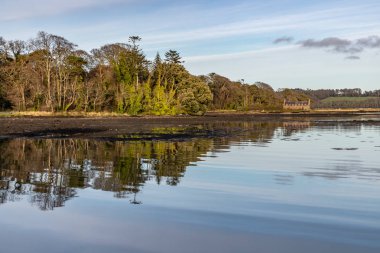 Pier house, orman, ağaçlar yansıma ve gölde Strangford lough gün batımında, Kuzey İrlanda, İngiltere