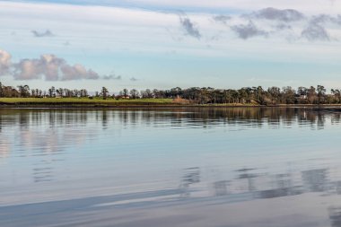 Orman, ağaç yansıma ve gölde gün batımı Strangford lough, Kuzey İrlanda, İngiltere