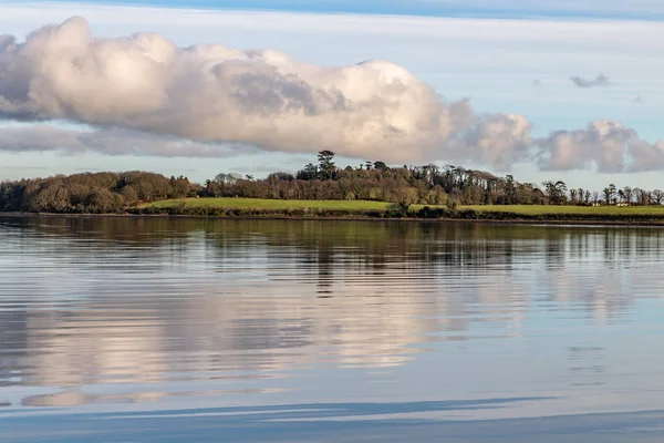 Foresta Riflessione Sugli Alberi Lago Tramonto Strangford Lough Irlanda Del — Foto Stock