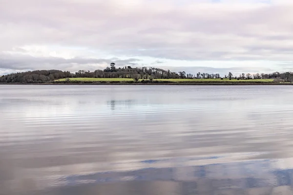 树木反射和湖在 Strangford Lough 北爱尔兰 — 图库照片