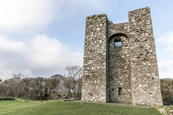 Frente Audleys Castle Strangford Irlanda Norte Reino Unido — Fotografia de Stock