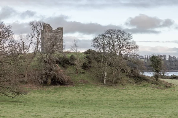 Audleys Castle Strangford Nordirland — Stockfoto