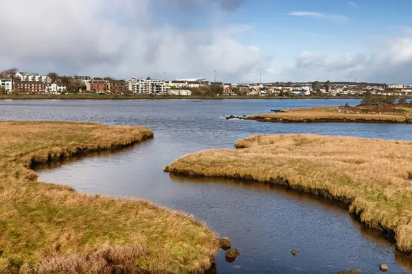 Lough Atalia Con Edifici Urbani Galway Irlanda — Foto Stock