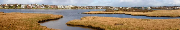 Panorama Lough Atalia Avec Bâtiments Municipaux Galway Irlande — Photo