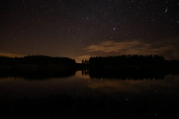 Cielo nocturno con arranques en un lago Conemara con bosque de pinos — Foto de Stock