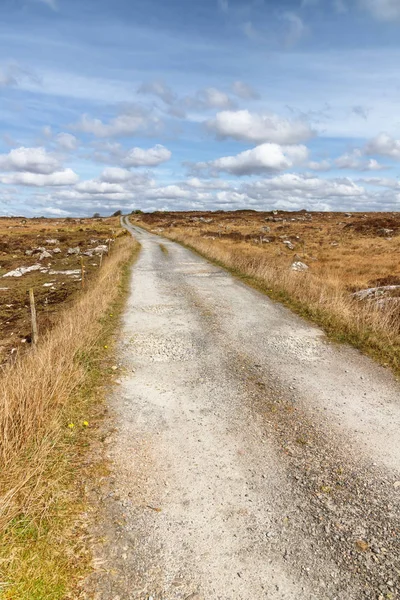 Route de ferme dans une tourbière avec végétation typique et rochers — Photo