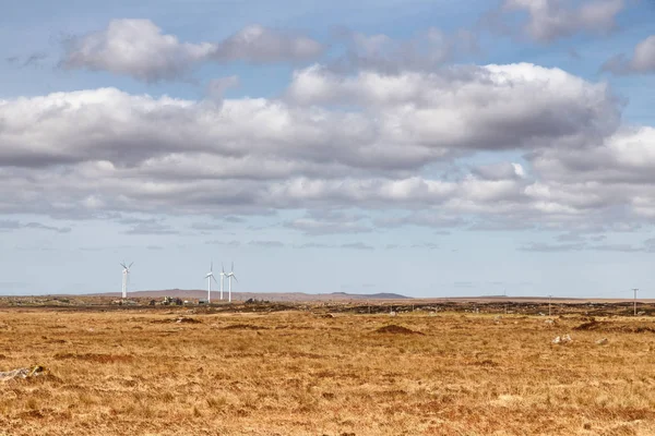 Windo Power Farm mező egy mocsár, jellegzetes növényzet és szikla — Stock Fotó