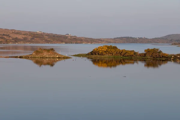 Vegetação em torno da baía de Clifden — Fotografia de Stock