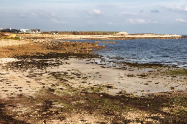 Galway Körfezi 'nde kayalar ve bitki örtüsü ile plaj