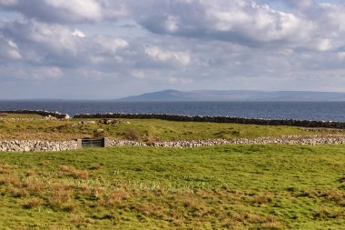 Çiftlik alanı ve Galway Körfezi ile bitki örtüsü ve taş duvar